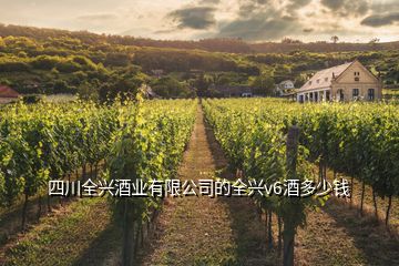 四川全興酒業(yè)有限公司的全興v6酒多少錢