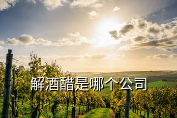 解酒醋是哪個(gè)公司