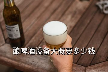 釀啤酒設備大概要多少錢