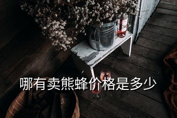 哪有賣熊蜂價格是多少