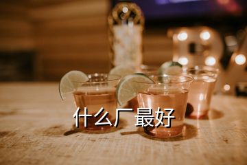 什么廠最好