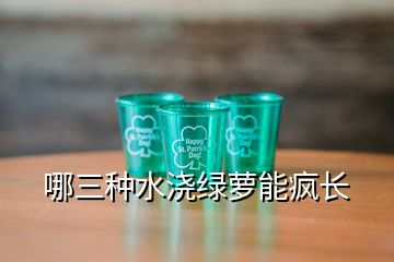 哪三種水澆綠蘿能瘋長(zhǎng)