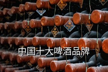 中國(guó)十大啤酒品牌