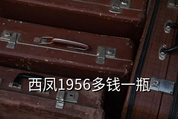 西鳳1956多錢一瓶