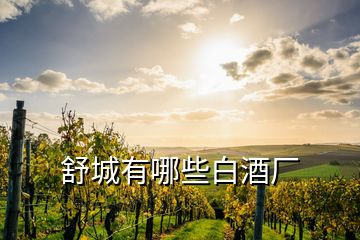 舒城有哪些白酒廠