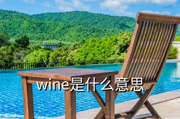 wine是什么意思