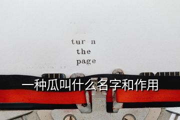 一種瓜叫什么名字和作用