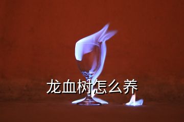 龍血樹怎么養(yǎng)