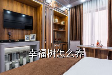 幸福樹(shù)怎么養(yǎng)