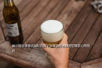 幽蘭隱谷清香遠(yuǎn)聞紅日西下余輝灑照谷靜而空晴賞心而悅目