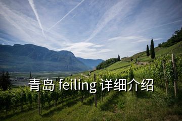 青島 feiling 詳細(xì)介紹