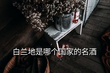 白蘭地是哪個國家的名酒