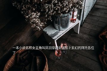 一本小說名稱女主角叫鳳羽穿越女強加上玄幻的拜托各位了