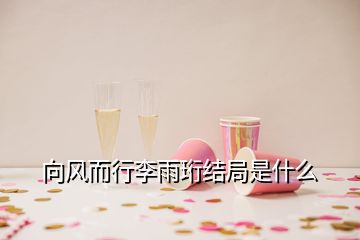 向風(fēng)而行李雨珩結(jié)局是什么