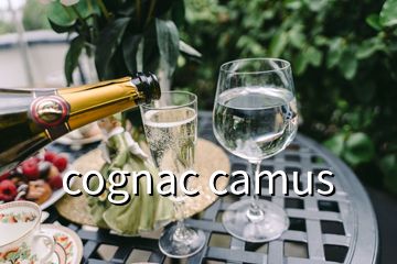 cognac camus