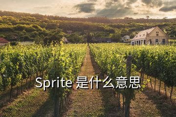 Sprite 是什么意思