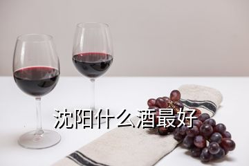 沈陽什么酒最好