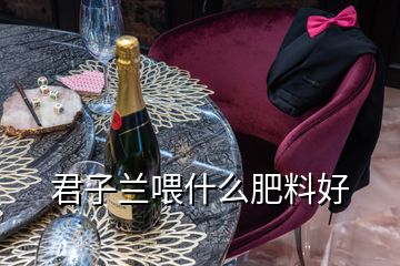 君子蘭喂什么肥料好