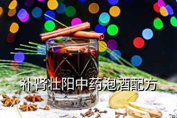 補(bǔ)腎壯陽中藥泡酒配方