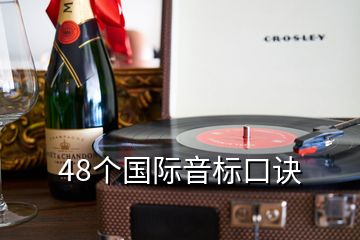 48個國際音標(biāo)口訣