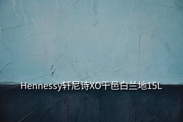 Hennessy軒尼詩XO干邑白蘭地15L