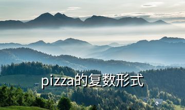 pizza的復(fù)數(shù)形式