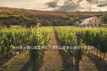 貴州茅臺鎮(zhèn)52度富貴天下酒和52度茅仙酒百年喜運的價格