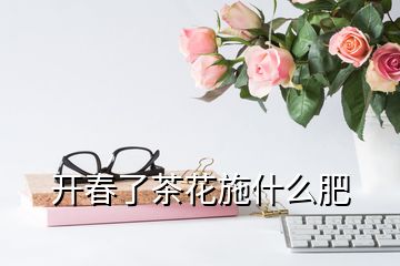 開春了茶花施什么肥