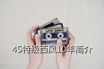 45特級(jí)西鳳10年簡(jiǎn)介