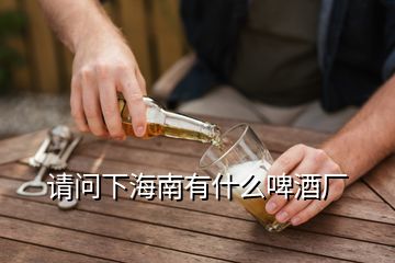 請(qǐng)問(wèn)下海南有什么啤酒廠