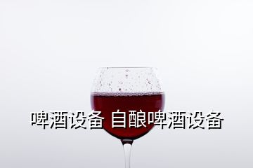 啤酒設(shè)備 自釀啤酒設(shè)備