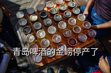 青島啤酒的金嶗停產(chǎn)了