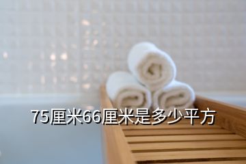 75厘米66厘米是多少平方