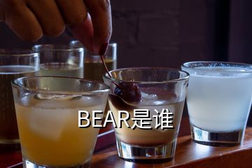 BEAR是誰