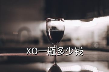 XO一瓶多少錢