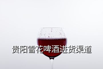 貴陽雪花啤酒進(jìn)貨渠道