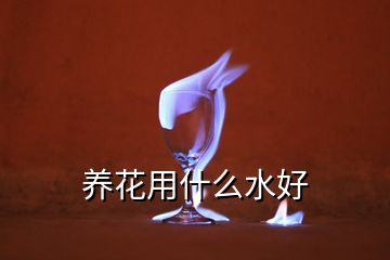 養(yǎng)花用什么水好