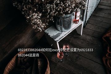 6921833862044如何在excel中把它設置為6921833 862044這是商