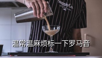 溫常溫麻煩標(biāo)一下羅馬音