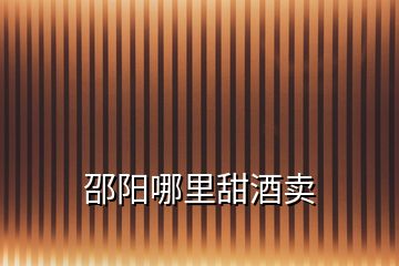 邵陽(yáng)哪里甜酒賣