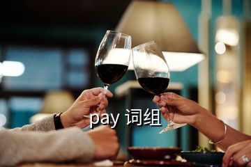 pay 詞組