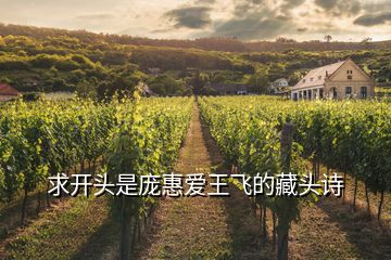求開頭是龐惠愛王飛的藏頭詩