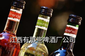 江西有那些啤酒廠公司