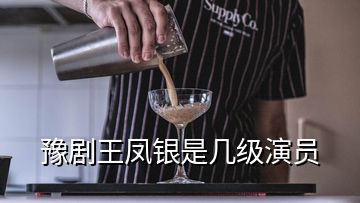 豫劇王鳳銀是幾級演員