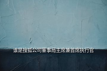 誰是搜狐公司董事局主席兼首席執(zhí)行官