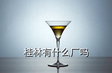 桂林有什么廠嗎