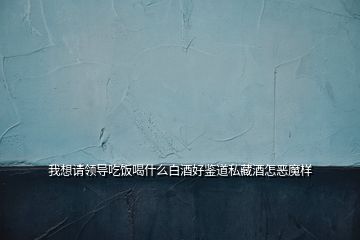 我想請(qǐng)領(lǐng)導(dǎo)吃飯喝什么白酒好鑒道私藏酒怎惡魔樣