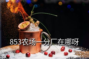 853農(nóng)場一分廠在哪呀