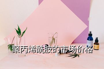 聚丙烯酰胺的市場(chǎng)價(jià)格