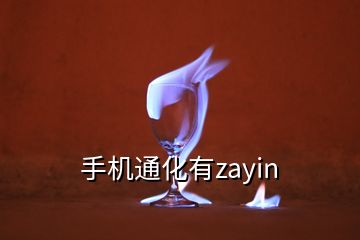 手機(jī)通化有zayin